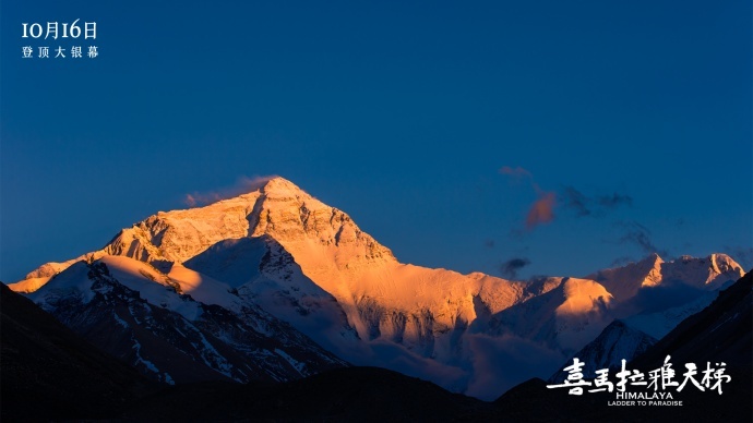 去英雄化急诊白夜